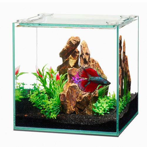 Aqueon Frameless Cube Aquariums (14 Gallon - 6.375 x 6.375 x 6.375)