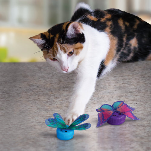 KONG Cat Active Capz Cat Toy (All Sizes)