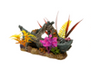 Blue Ribbon Pet Products Exotic Environments Sunken Ship Floral