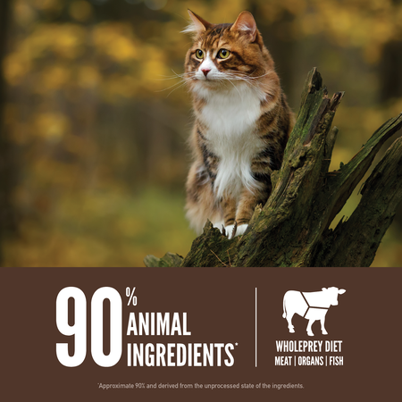 ORIJEN Regional Red Dry Cat Food