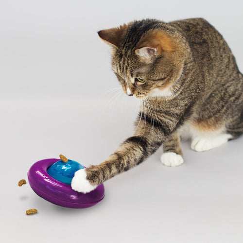 KONG Infused Cat Gyro Cat Toy