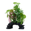 Fluval Aqualife Green Lysimachia Mix