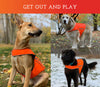 Spot the Dog Reflective Vest (Large, Orange)