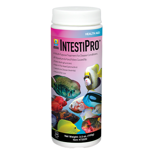 Hikari IntestiPro® Aquarium Powdered Intestinal Worm Treatment