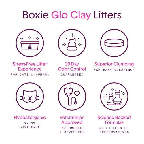 Boxiecat Glo™ Natural Attractions™ Clumping Clay Litter