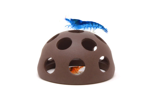 Aquavitro Shrimp Dome