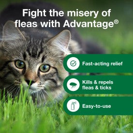 Advantage Cat Flea Treatment Spray