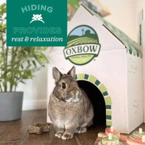 Oxbow Animal Health Enriched Life - Design Your Own Hideaway House for Small Animals