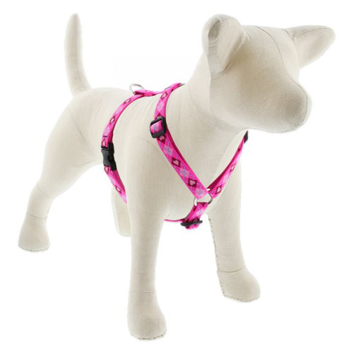 LupinePet Original Designs Roman Dog Harness