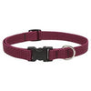 Eco Dog Collar, Adjustable, Berry, 3/4 x 9 to 14-In.