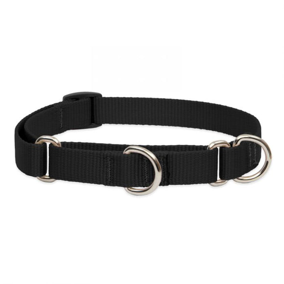 Lupine Pet Basic Solids Martingale Training Collar