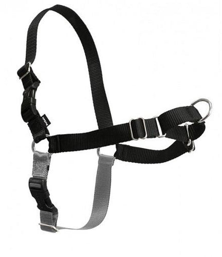 PetSafe Easy Walk Black & Silver Dog Harness