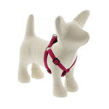 LupinePet Eco Step In Dog Harness