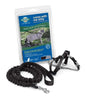 PetSafe Come with Me Kitty Black & Silver Harness and Bungee Leash for Cats