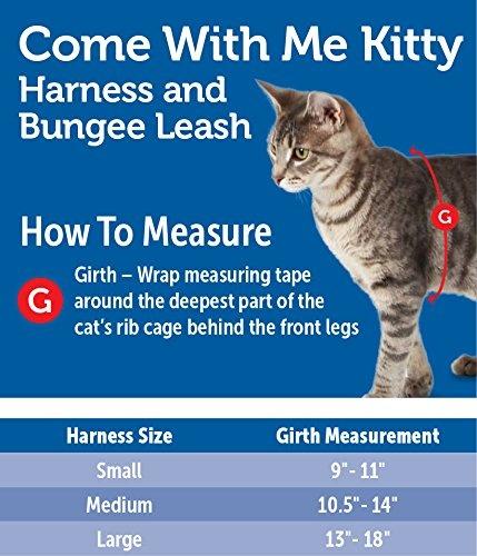 PetSafe Come with Me Kitty Red & Cranberry Harness and Bungee Leash for Cats