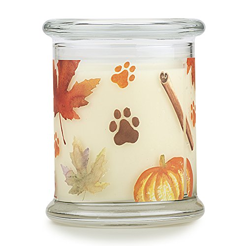 Pet House Pumpkin Spice Candle