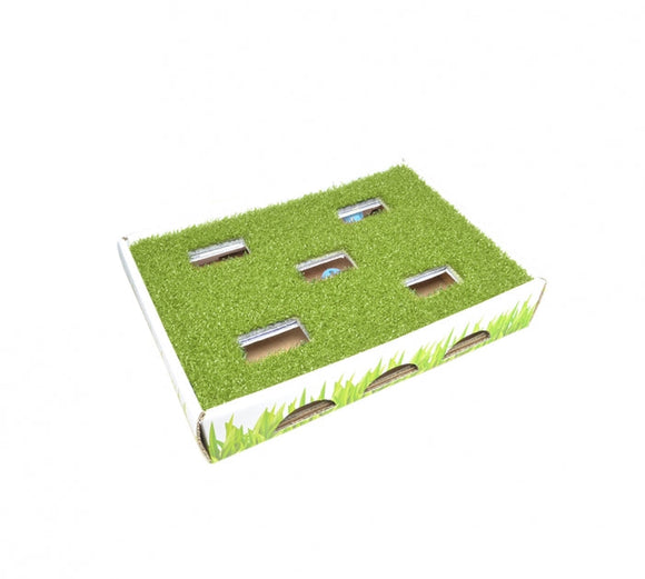 Petstages Grass Patch Hunting Box