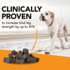 VetriScience GlycoFlex® Plus Chews for Medium and Large Dogs