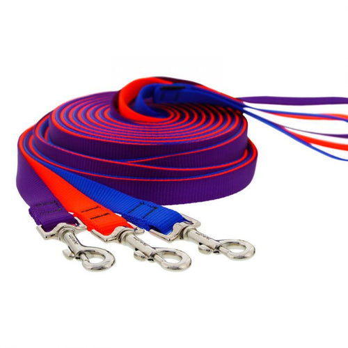 Lupine Pet Training Lead