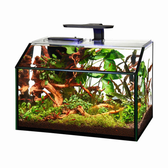 AQUEON SHRIMP LED AQUARIUM KIT