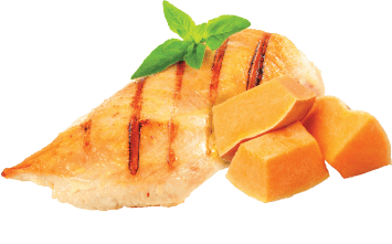 Rawz Tapa Tender Chicken Breast & Pumpkin Wet Cat Food Recipe In Wholesome Broth