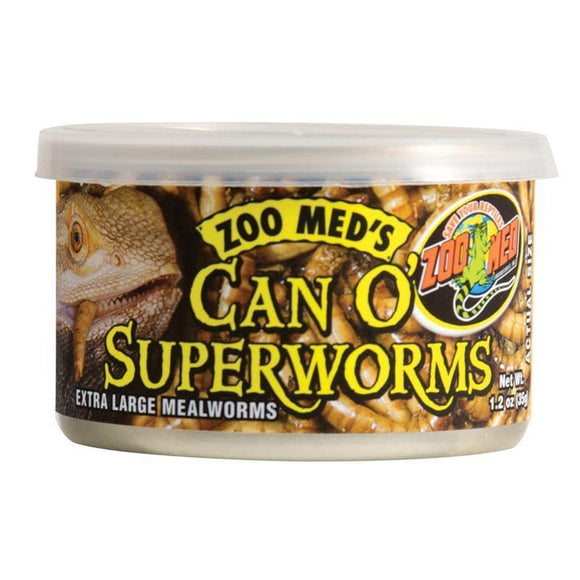 CAN O' SUPERWORMS EXTRA LARGE MEALWORMS