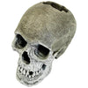 EXOTIC ENVIRONMENTS LIFE-LIKE HUMAN SKULL