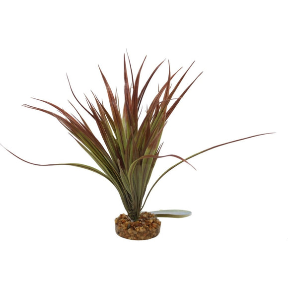 COLOR BURST FLORALS MINI SWORD PLANT