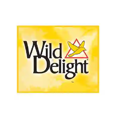 Image Alternative Text