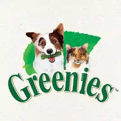 Image Alternative Text