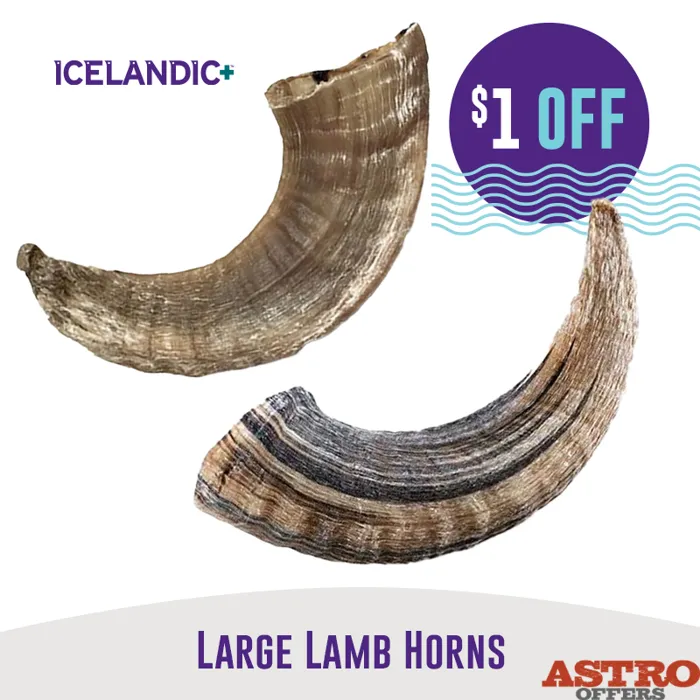 Promotion Image