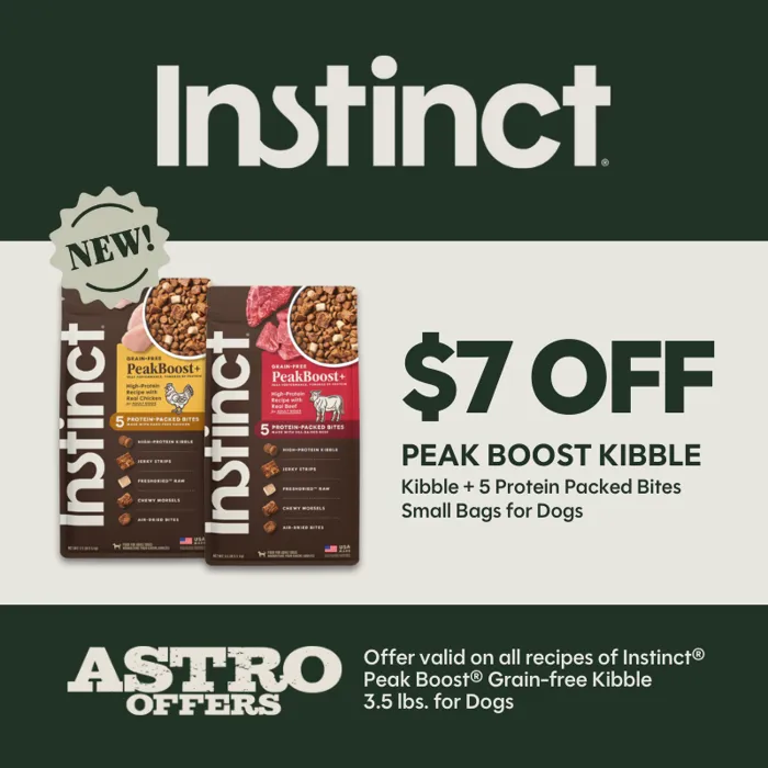 Promotion Image