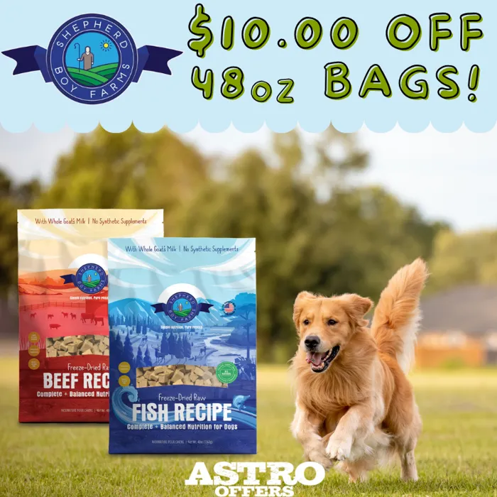Promotion Image