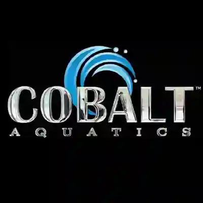 Image Alternative Text