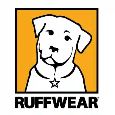 Image Alternative Text