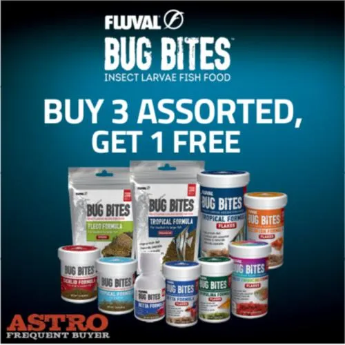 Promotion Image