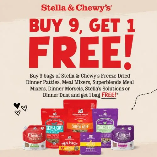 Promotion Image